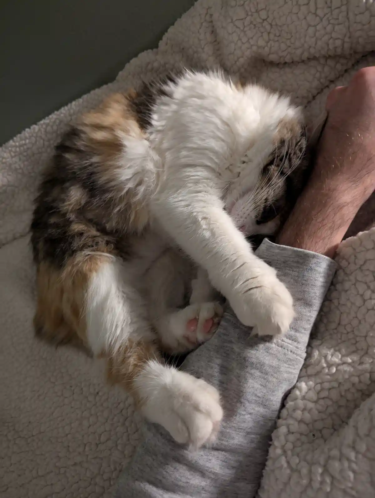 A Simple Touch That Speaks Volumes