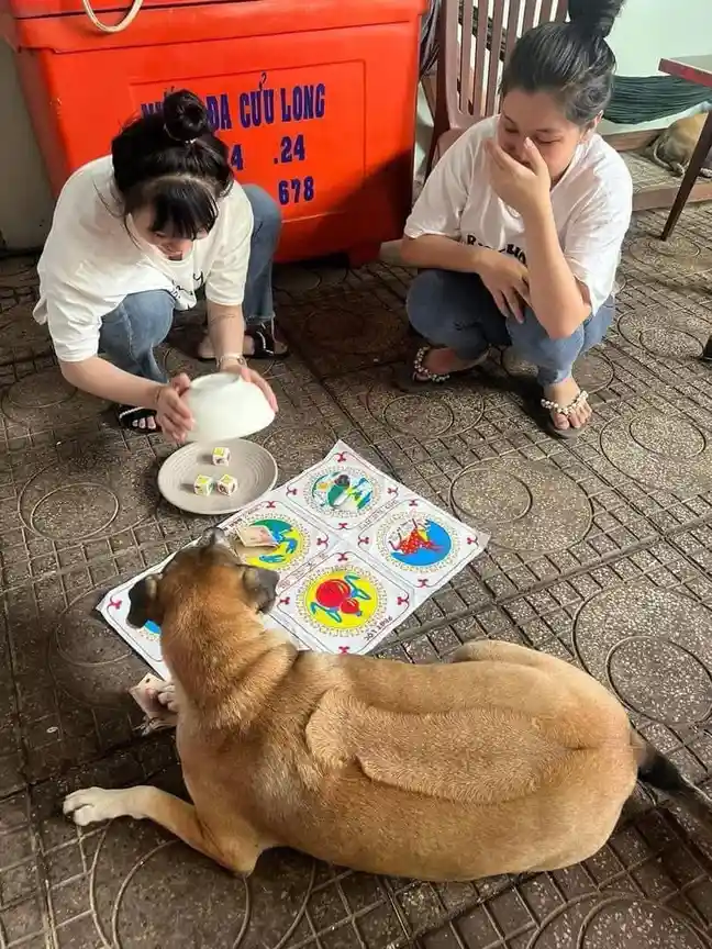Two women are crouched on a tiled floor playing a dice game with a large brown dog. One woman is pouring dice from a white…