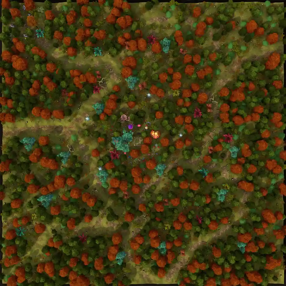 Exploring the Enchanting Fey Forest