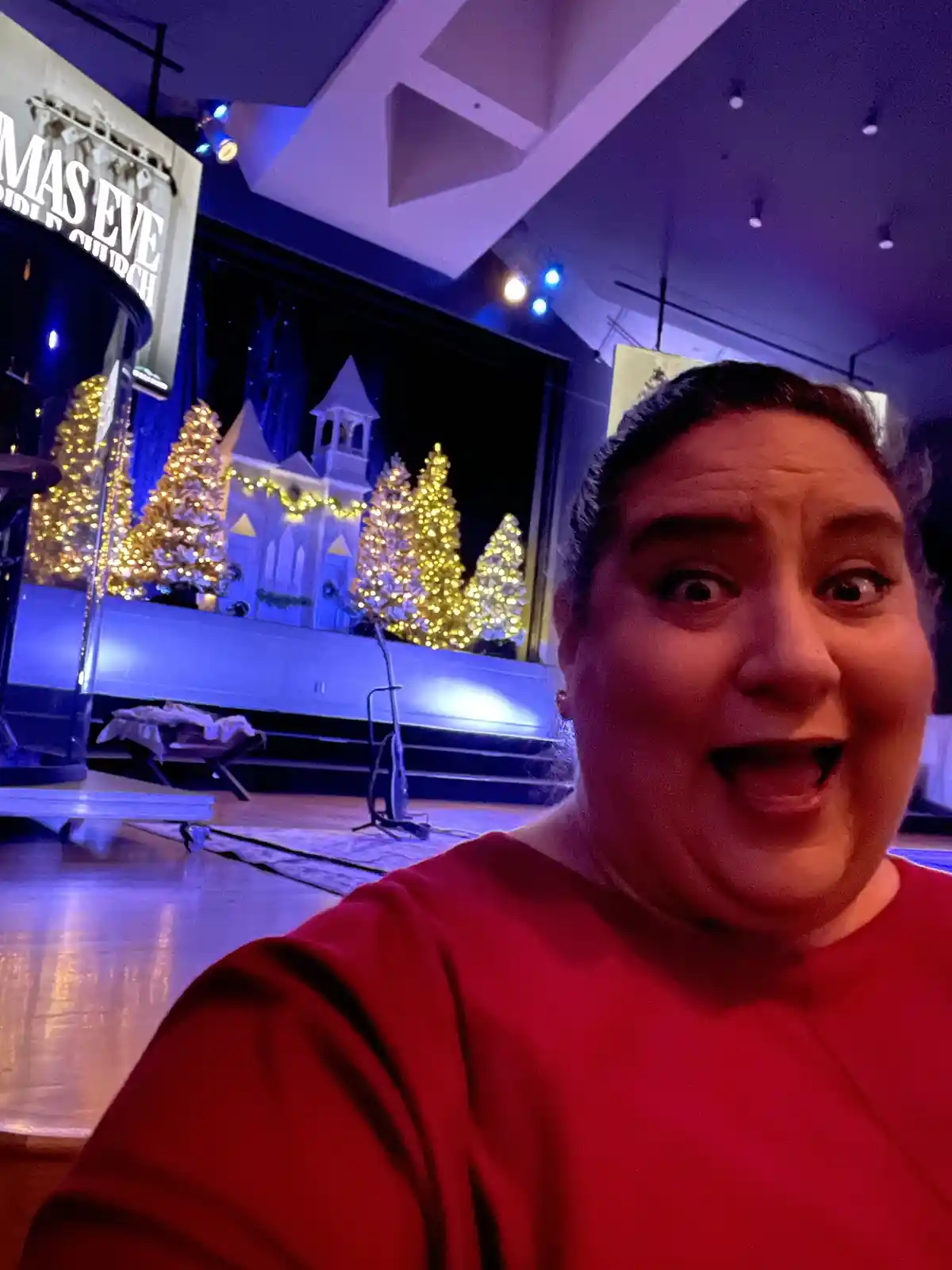 Getting into the Christmas Spirit with Some Fun!