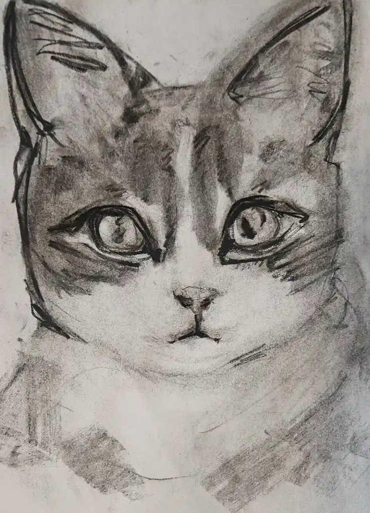 A detailed charcoal sketch of a cat's face, rendered with expressive eyes and fur texture, overlaid with the text 'i'm not a…