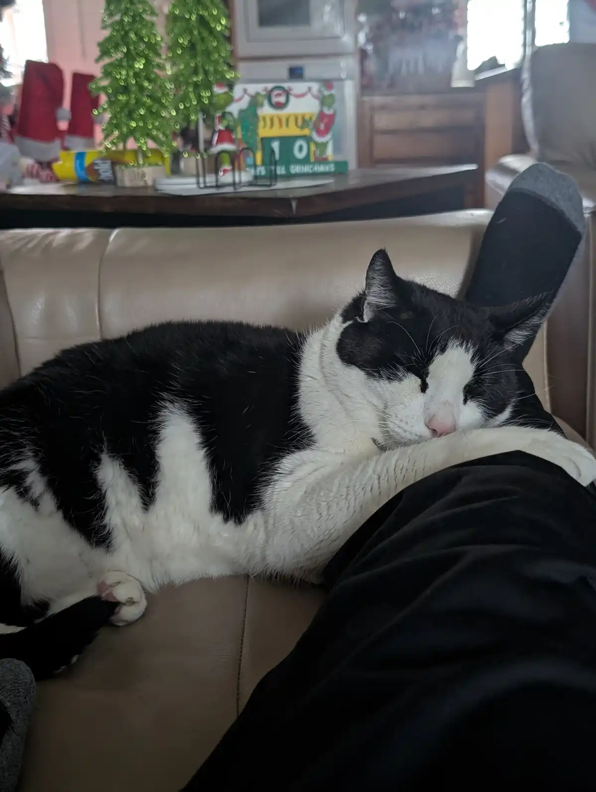 Meet Larry: The Legend