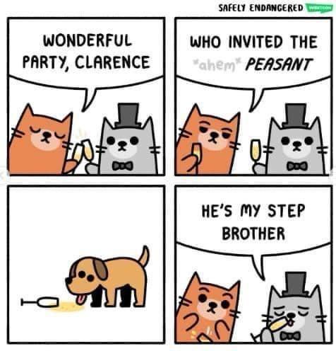 A four-panel comic strip featuring two anthropomorphic cats at a party. The first panel shows them toasting with champagne…