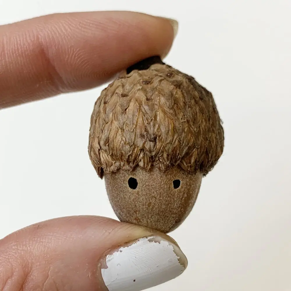 Introducing Mr. Acorn!