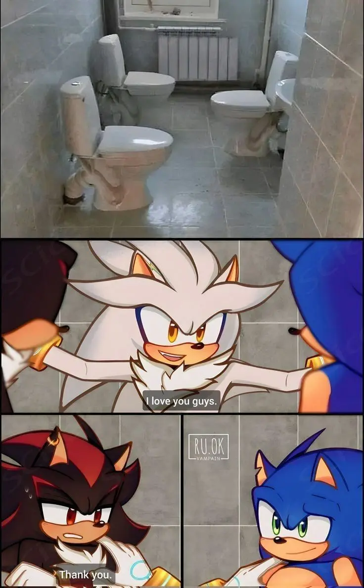 The image is a three-panel meme. The top panel shows a real-world bathroom with two toilets, each with a visible, exposed…