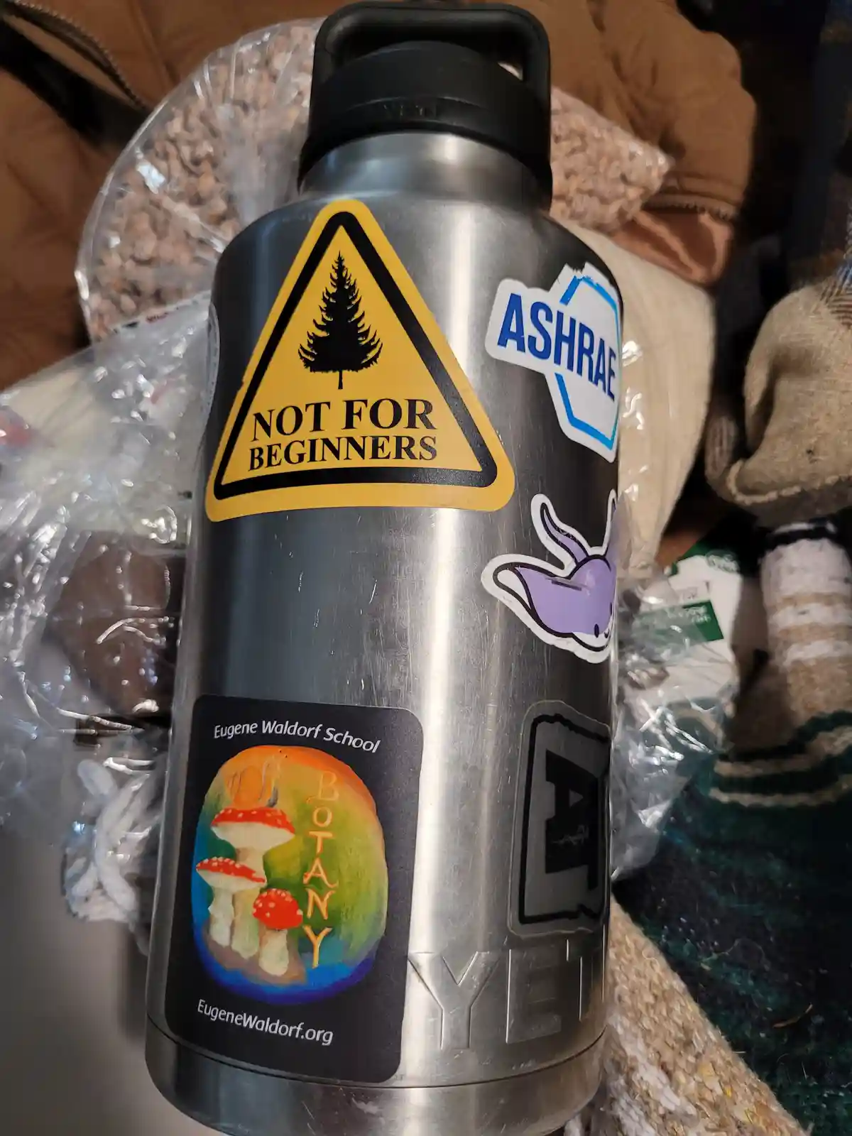 Get Your Hands on Free Stickers!