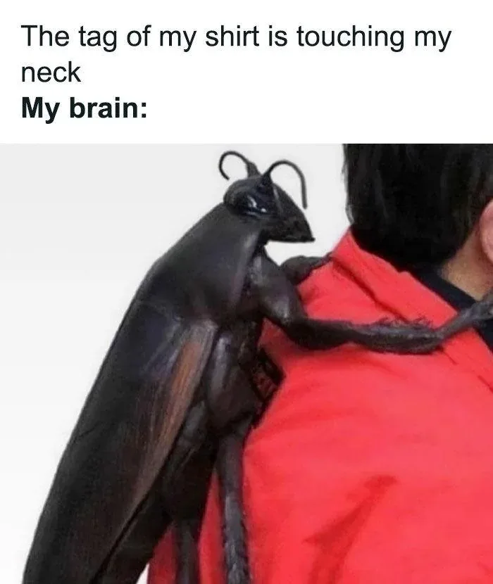 Meme 61: The One You Didn't Know You Needed