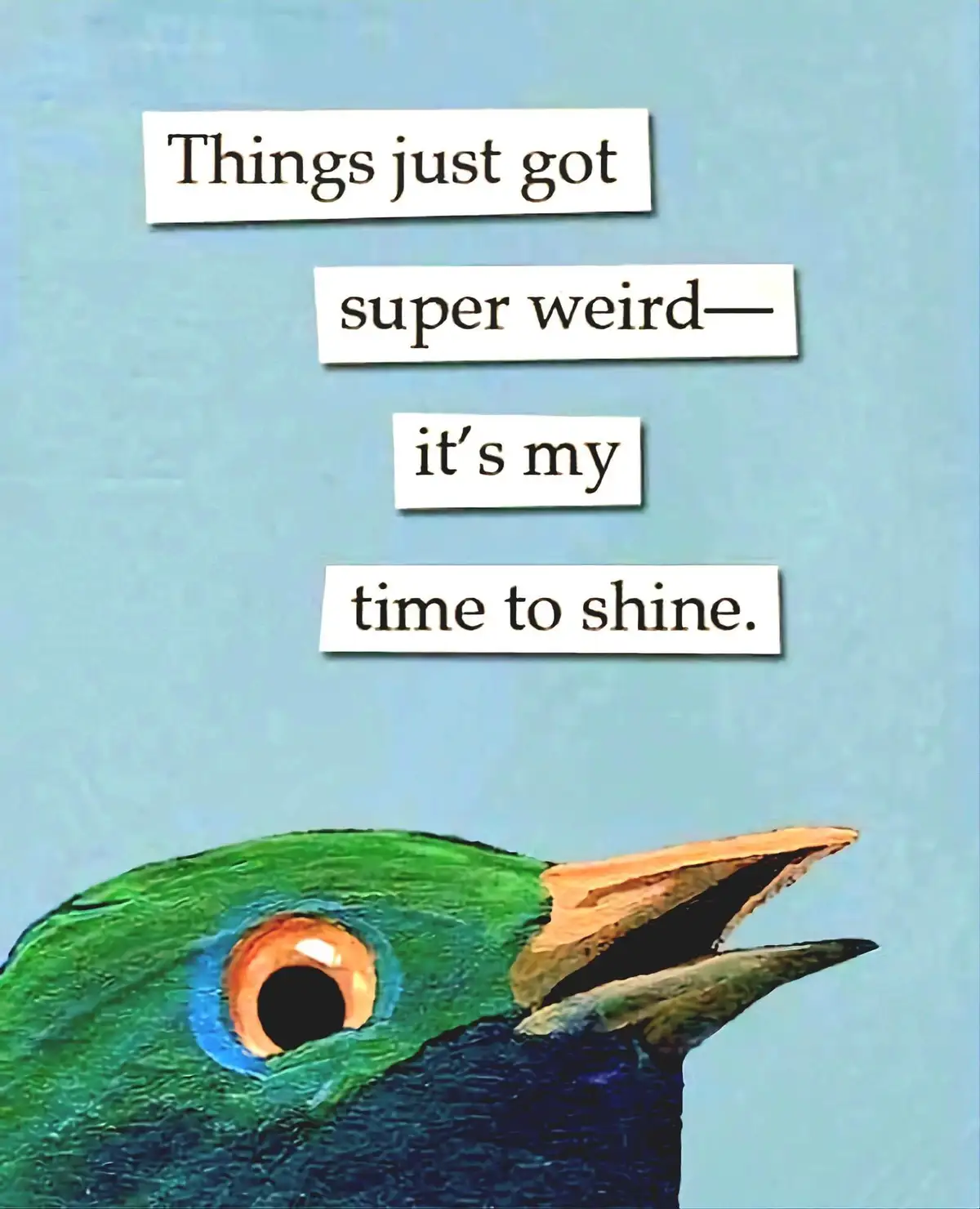 Quirky Memes from a Delightfully Odd Person