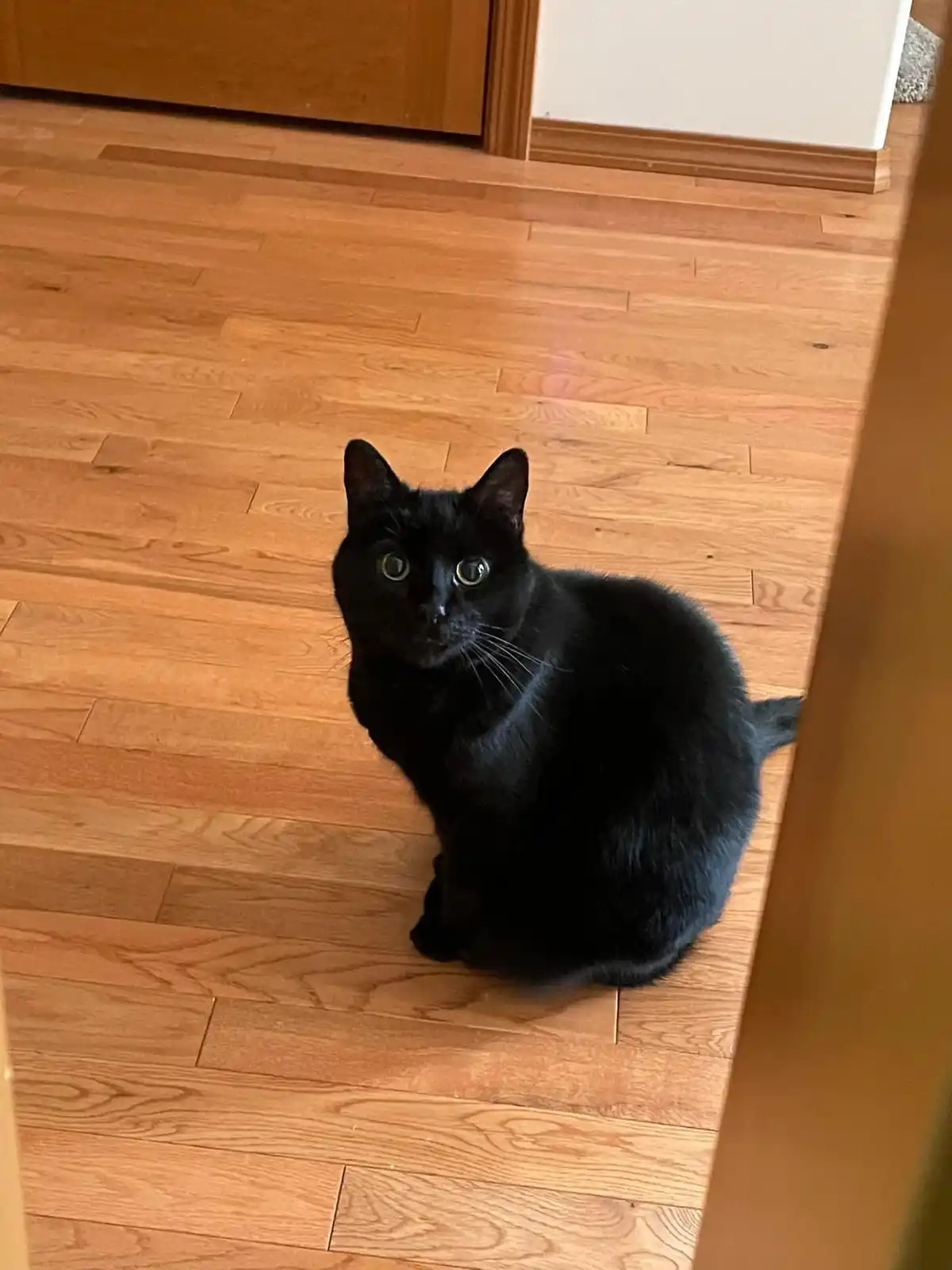 When You're Using the Facilities but Staying Alert: Always on Guard