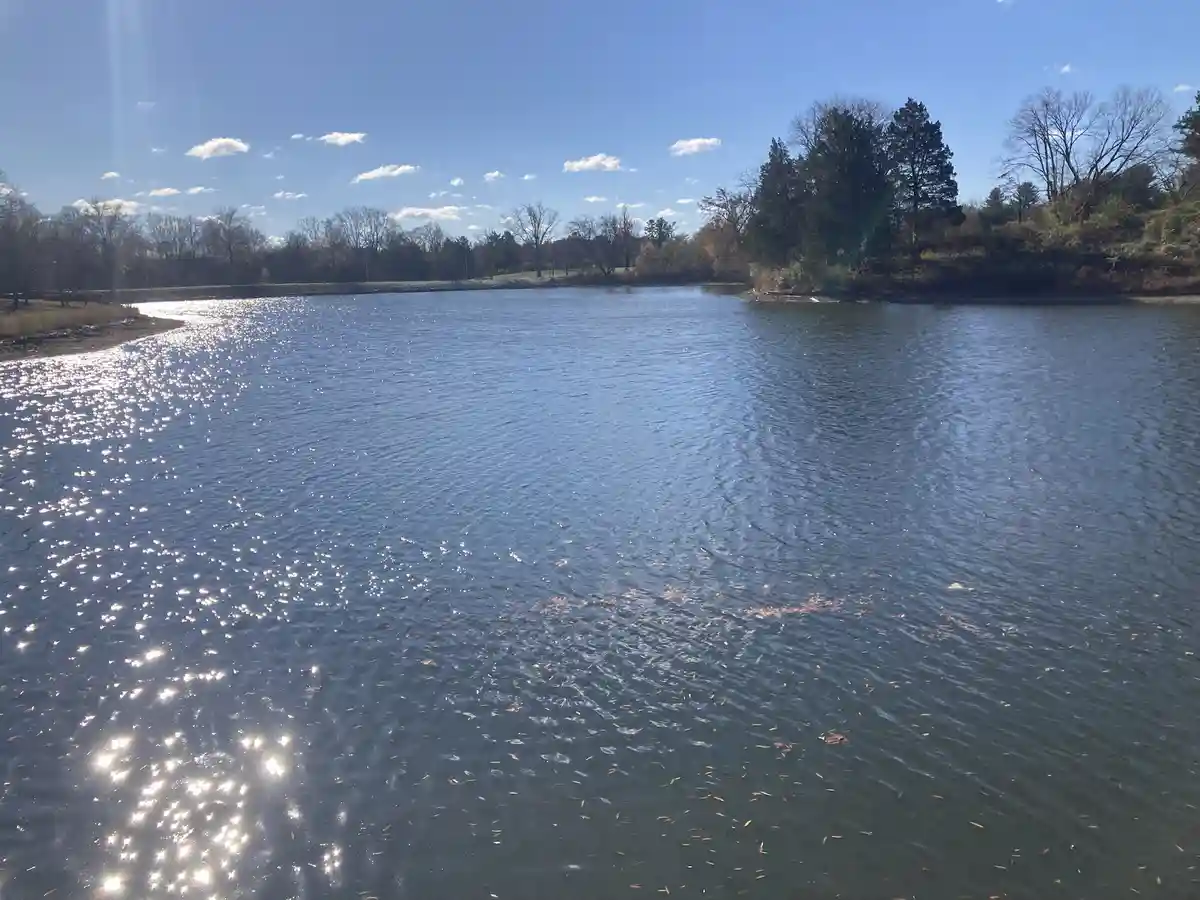 A serene photo of a wide river under a bright blue sky with scattered clouds, sunlight glinting off the water's surface, and…