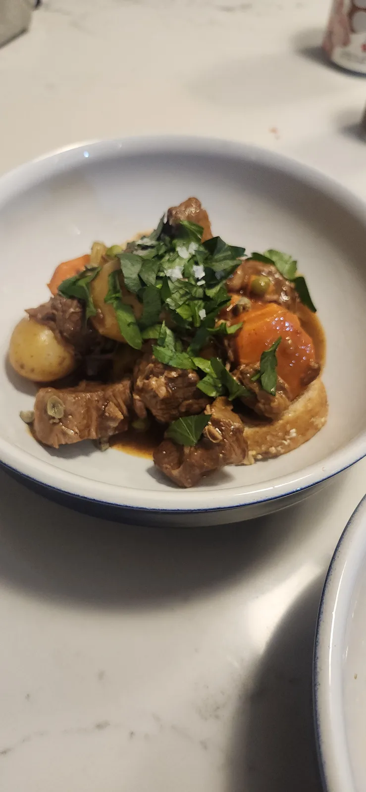 A close-up photo shows a white bowl with a blue rim containing beef stew with chunks of meat, carrots, potatoes, and peas…