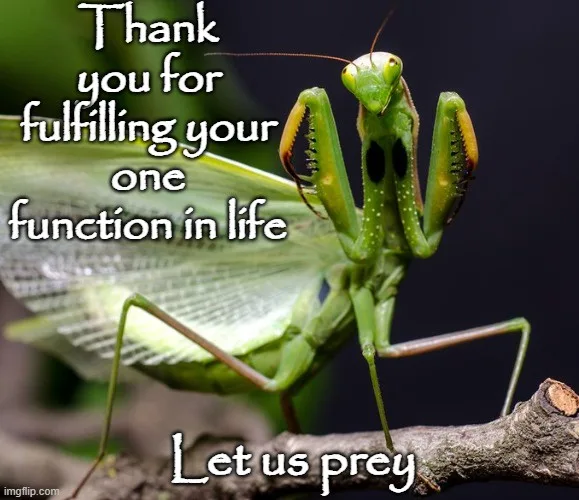 A close-up photograph of a green praying mantis perched on a tree branch, with white text overlaid that reads 'Thank you for…
