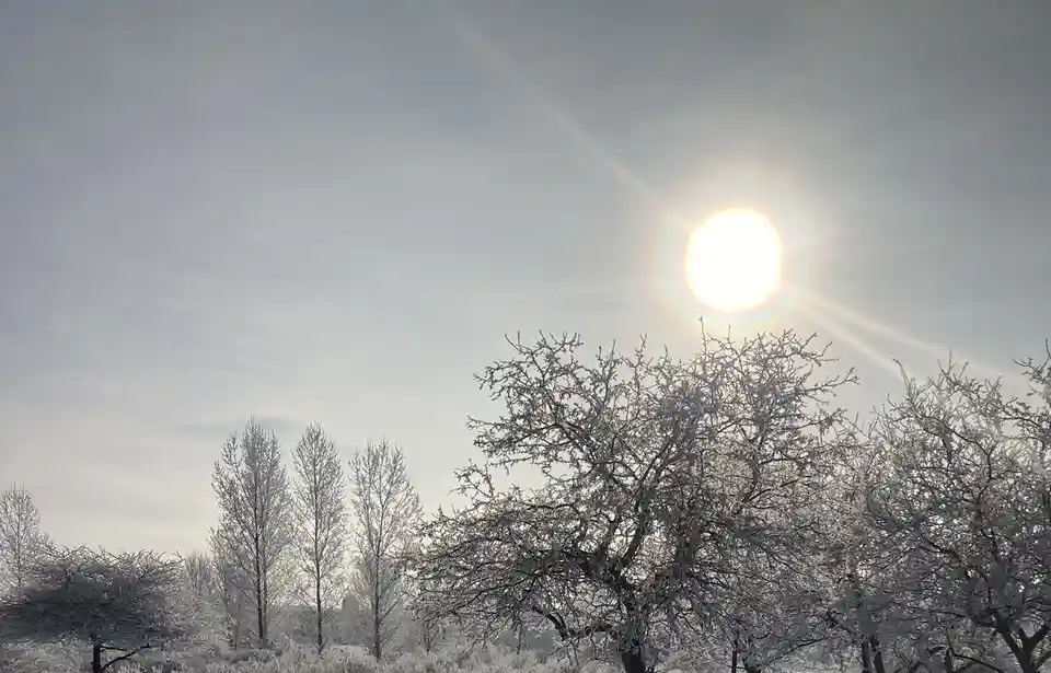 A bright sun shines overhead in a pale sky, casting rays over a landscape of trees heavily coated in frost or snow, creating…