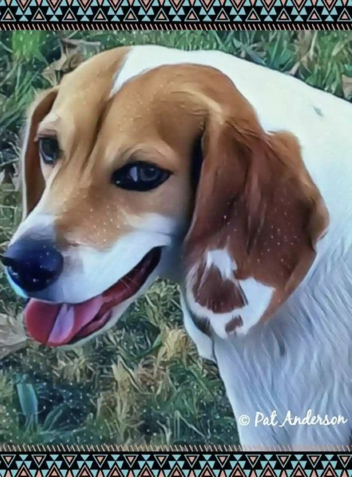 A close-up photo of a happy beagle with brown and white fur, its tongue out, sitting in grass. The image has a stylized…