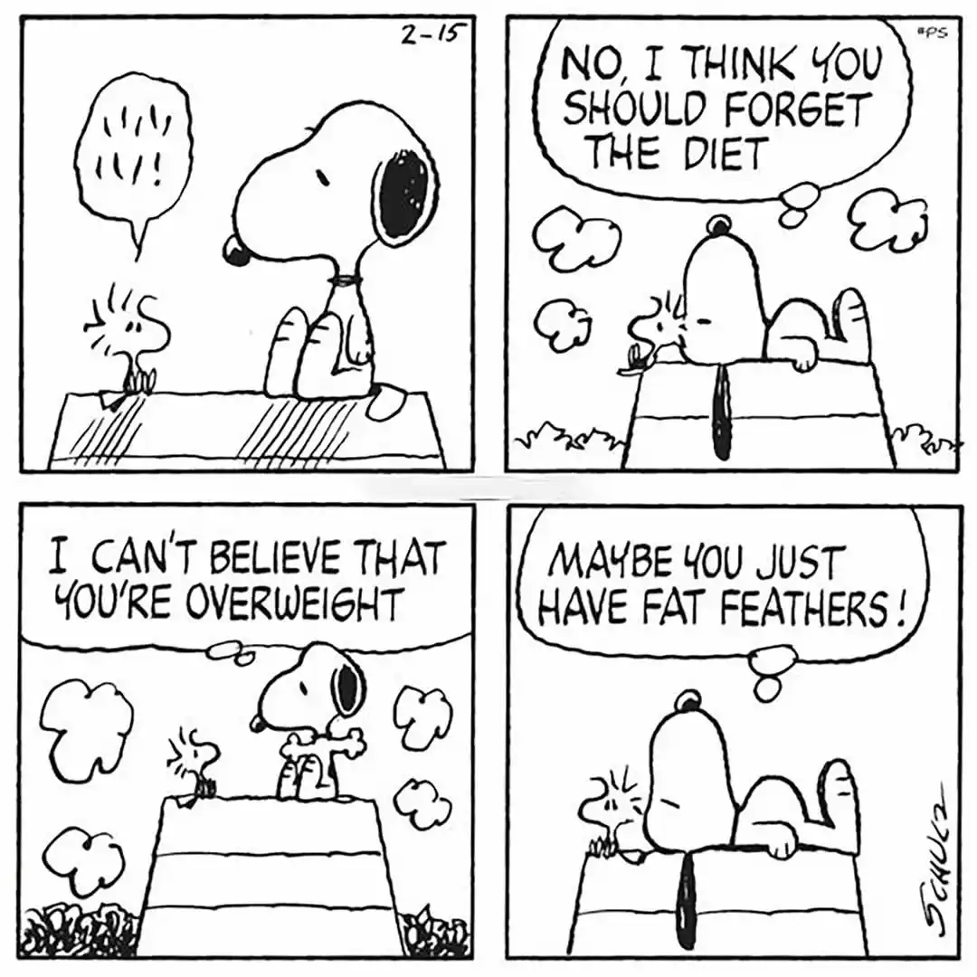 A four-panel Peanuts comic strip shows Snoopy and Woodstock. Woodstock tells Snoopy he's overweight, Snoopy responds by…