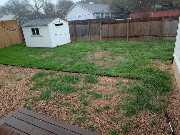 Crabgrass is invading my rye grass lawn!