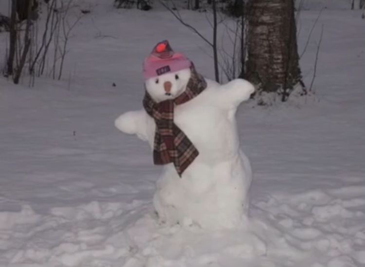 A snowman in a snowy forest wearing a pink hat with a red pom-pom and a plaid scarf, with one arm raised. The overlaid text…