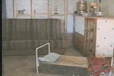 A golden retriever approaches a small bed, climbs onto it, and lies down to sleep. The sequence shows the dog's gradual…