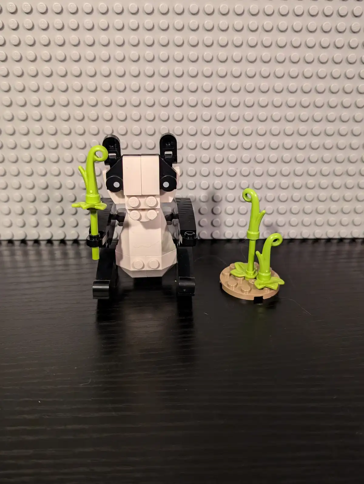 A Lego minifigure constructed to resemble a panda, standing on a black surface with a gray Lego stud wall behind it, holding…