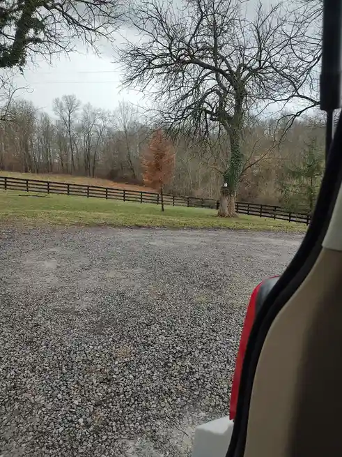 A photo taken from inside a vehicle looking out at a gravel driveway, a large leafless tree with ivy, a fence, and a field…