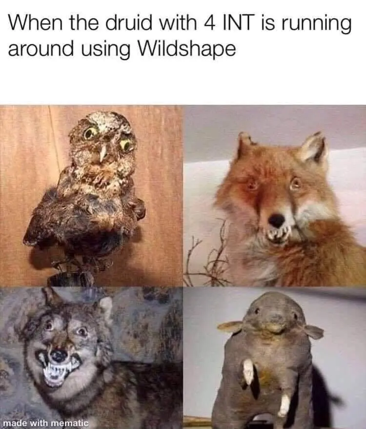 The image displays four taxidermied animals arranged in a grid: an owl, a fox, a wolf, and a rabbit. Each animal has a…