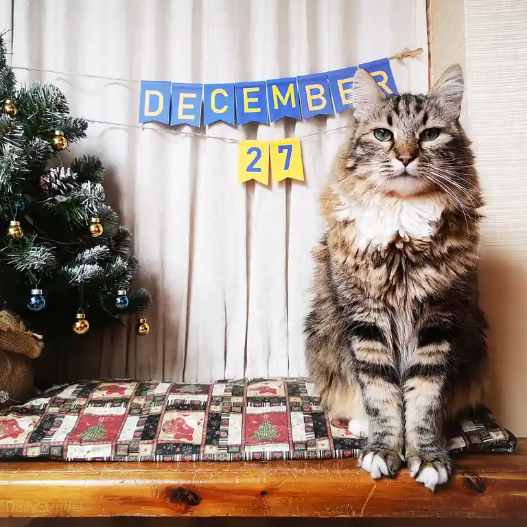 Reflecting on December 27: A Day to Remember