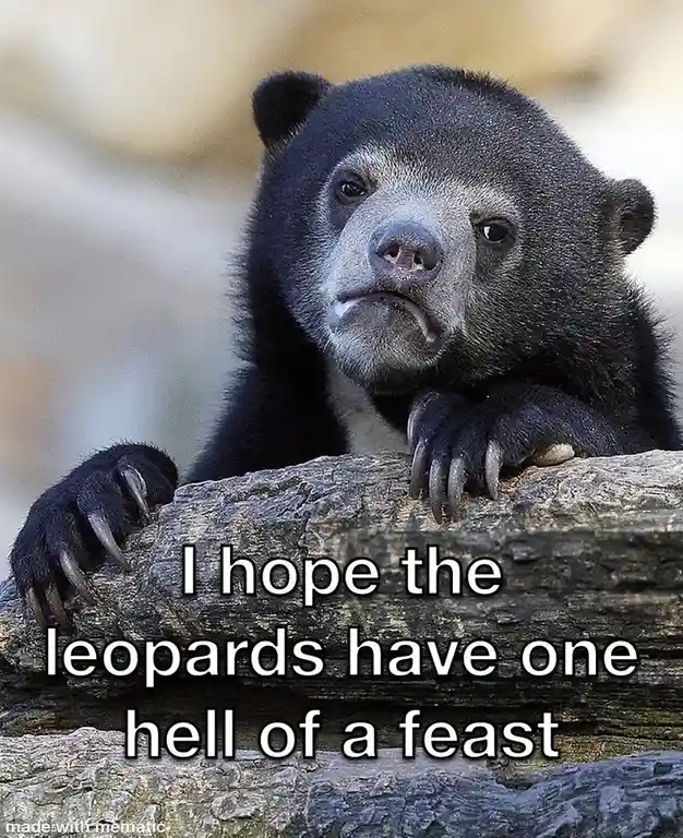 A close-up photo of a black bear with a sad, resigned expression, resting its paws on a log. The overlaid white text reads…