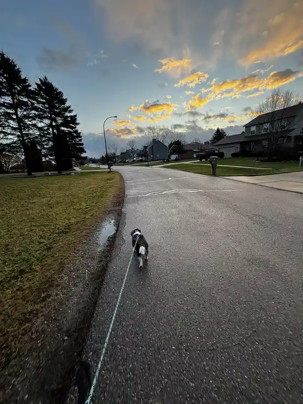 Rigby Ragazzo's Adventures Today