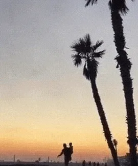 six sequential images show a silhouette of a man and child on a beach at sunset, with palm trees in the background. The…