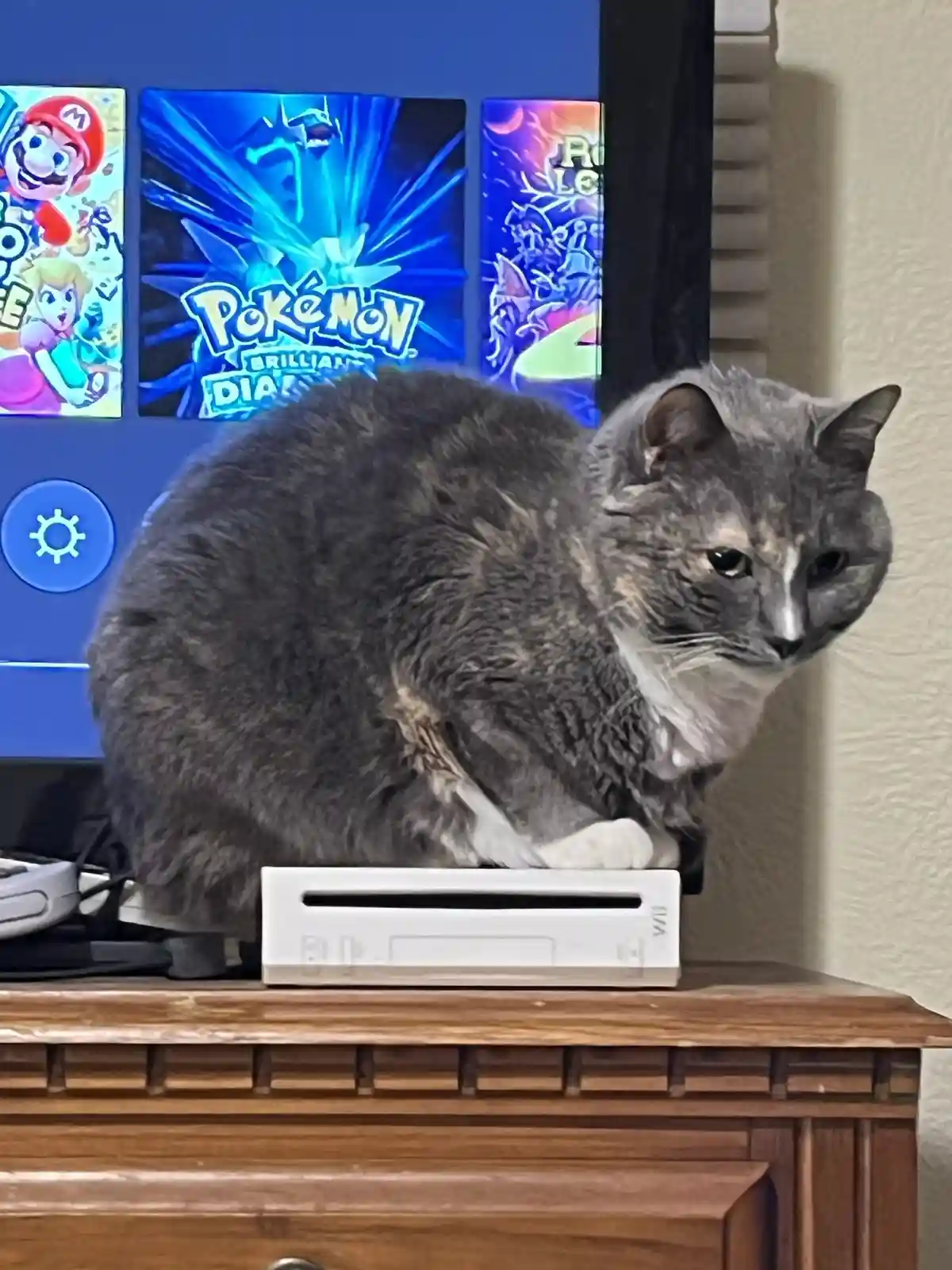 A gray cat with a white chest sits atop a white Nintendo Wii console on a wooden surface, looking unimpressed. Behind it, a…