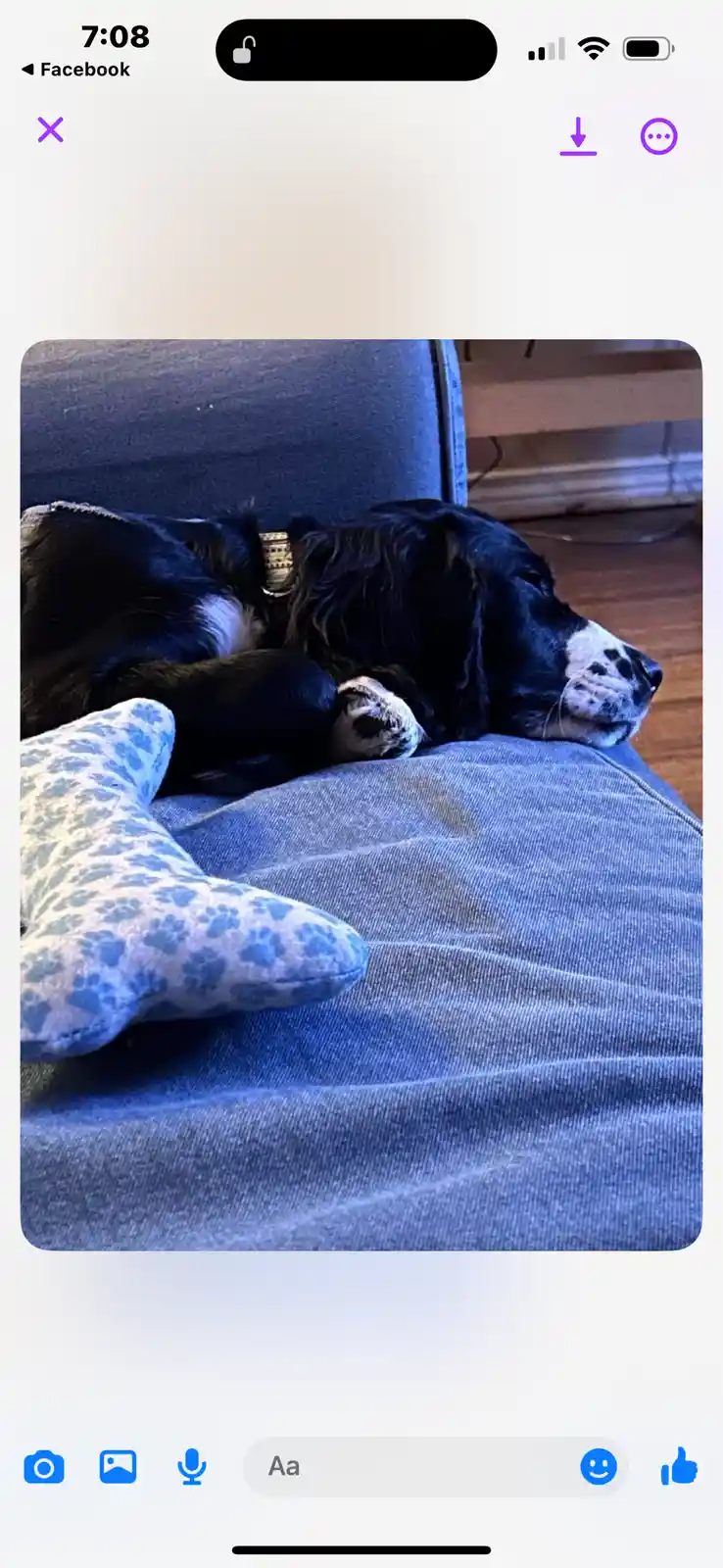 It's so adorable when they're all worn out, lol
