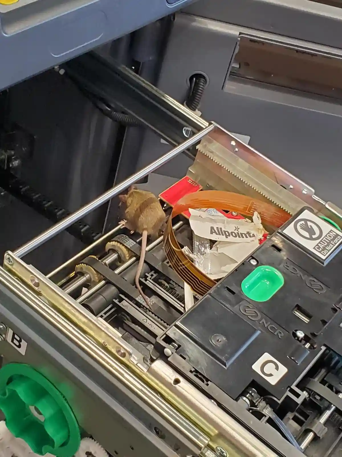 A small brown mouse is perched inside the open internal mechanism of a cash register, surrounded by gears, wires, and a torn…