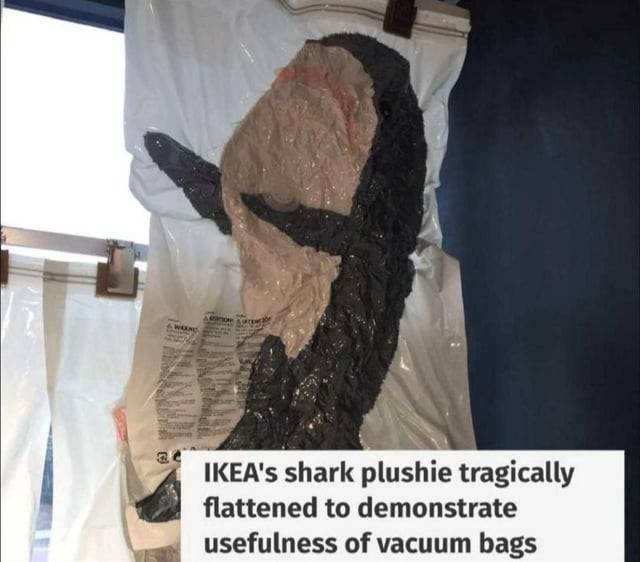 A plush shark toy, mostly black with a beige belly, is visibly flattened inside a clear vacuum storage bag hanging on a…