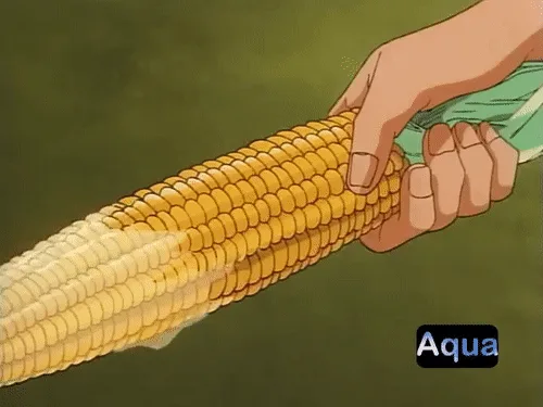 The image displays six panels showing a hand progressively peeling back the husk of an ear of corn, revealing more kernels…