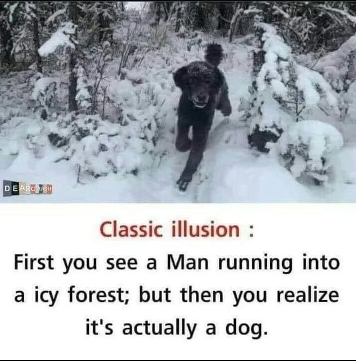 Do You Need Glasses? Let's Find Out!