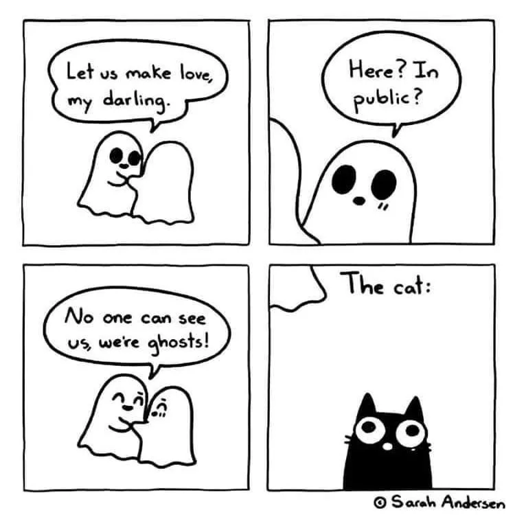 A four-panel comic strip by Sarah Andersen shows two ghosts planning to make love, then expressing surprise at being in…