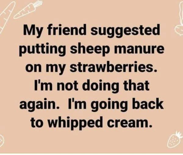 A beige background with faint white line drawings of carrots, a potato, and a strawberry. Centered black text reads: 'My…