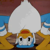 Quirky Duck Adventures