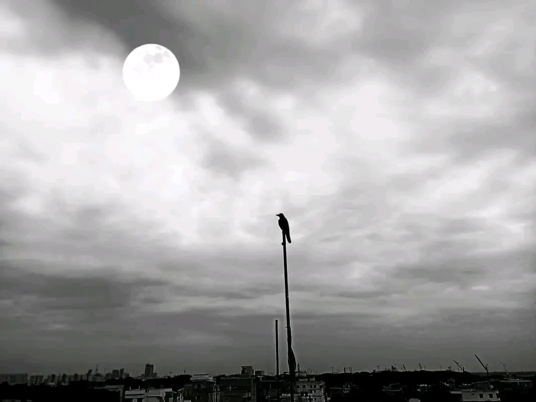 Feeling utterly alone