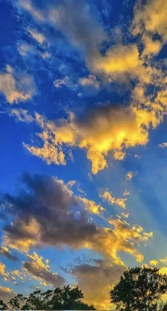 A vibrant sky at sunset or sunrise with deep blue and golden-yellow clouds, silhouetted tree tops at the bottom. Overlaid…