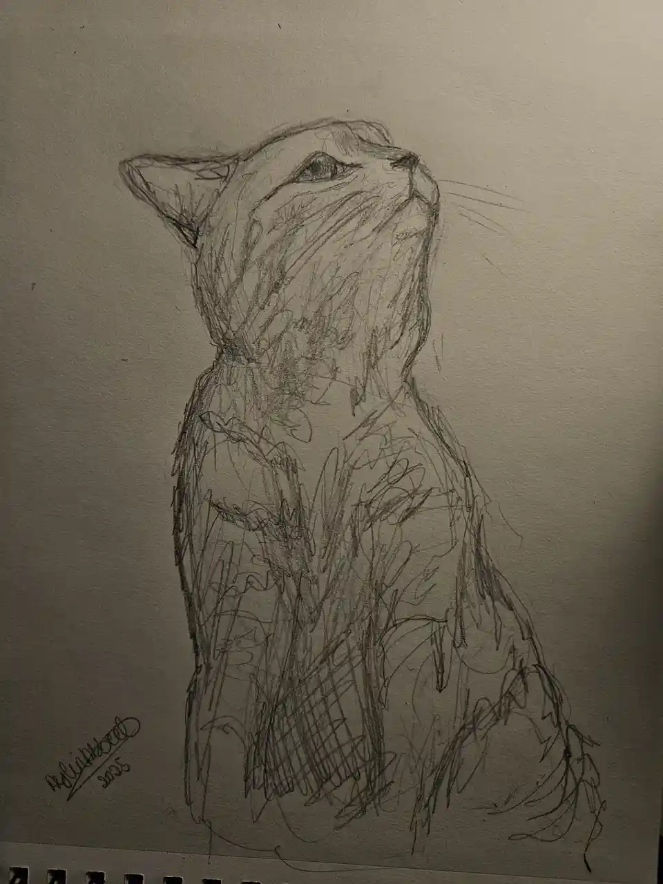A rough pencil sketch of a cat looking upward, drawn on textured paper with visible artist's signature 'Reliabbet 2005' in…