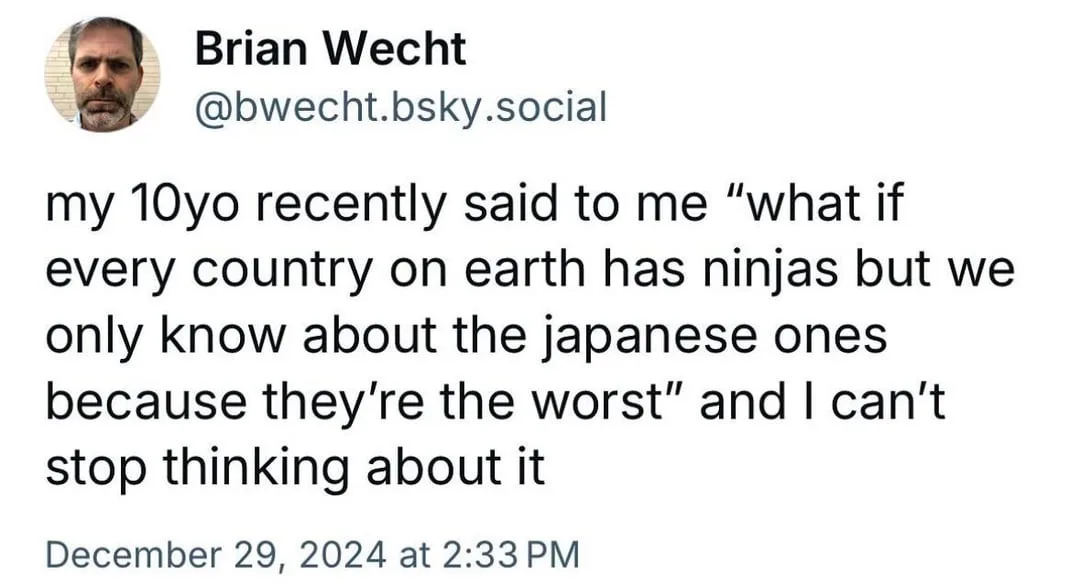 The Stealthy Ninja You Never Noticed...