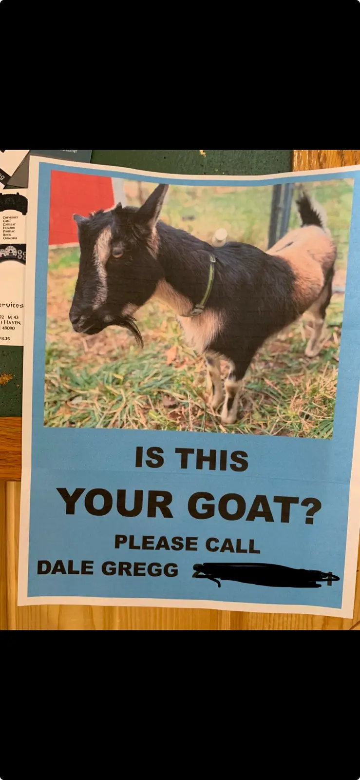 Dale's Got Your Goat and It's Hilarious!
