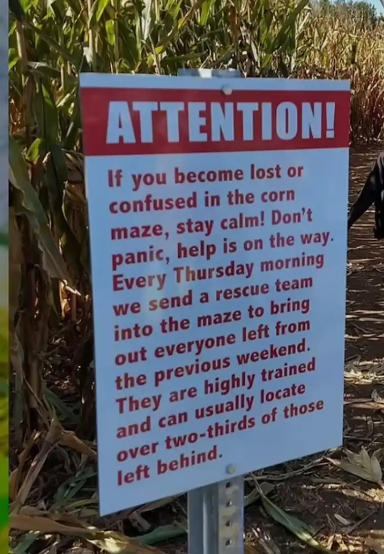 No Need to Worry!
