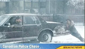 An Exciting Chase is On!