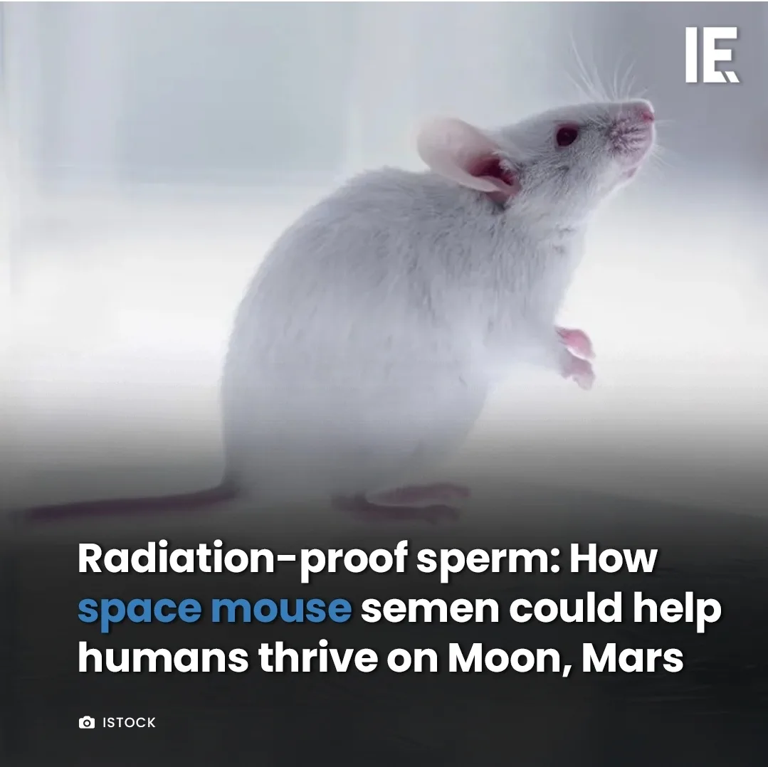 A white laboratory mouse stands upright on its hind legs against a bright, hazy background. Overlaid text reads…