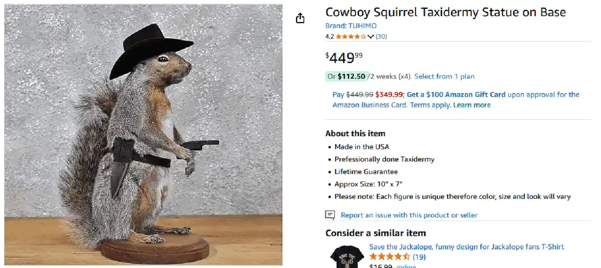 An amazon product page for a taxidermy squirrel wearing a black cowboy hat and holding two small black pistols, standing…