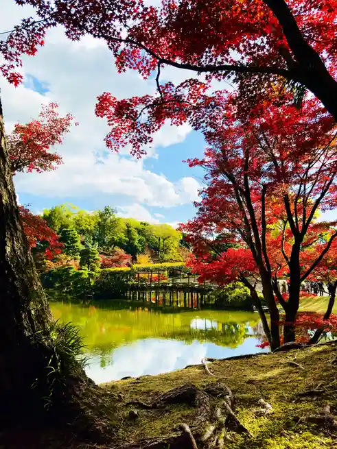 Exploring the Mysteries of Kyoto-2