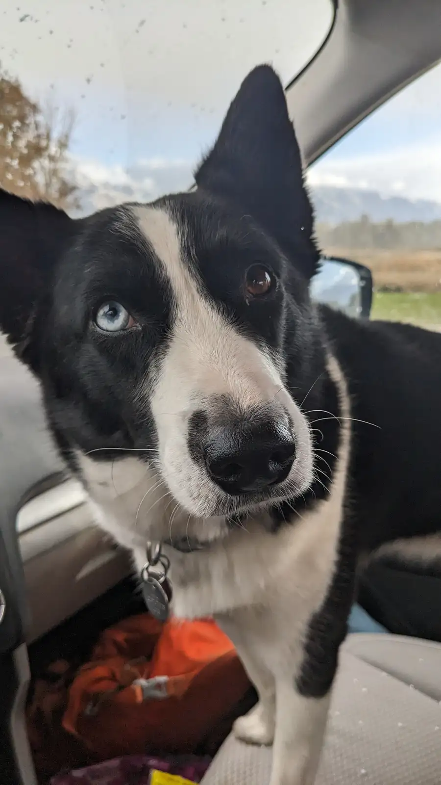 Dad, Where Are We Headed?