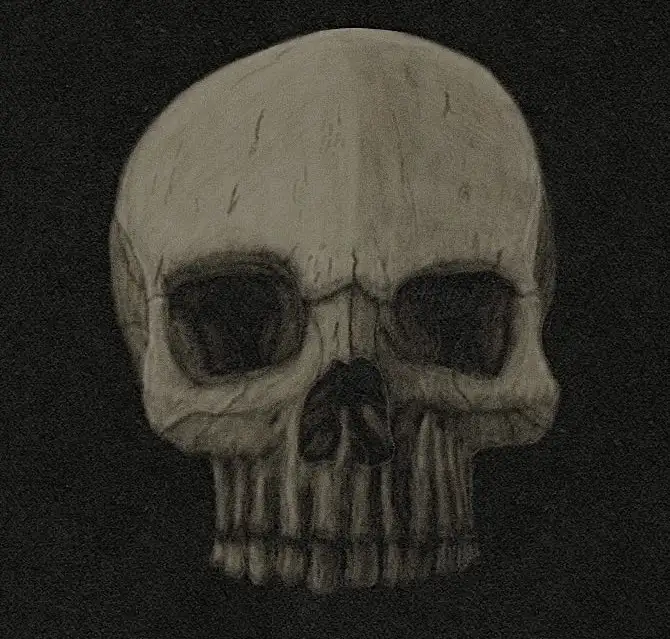 The Evolution of Skulls: A Progression Journey
